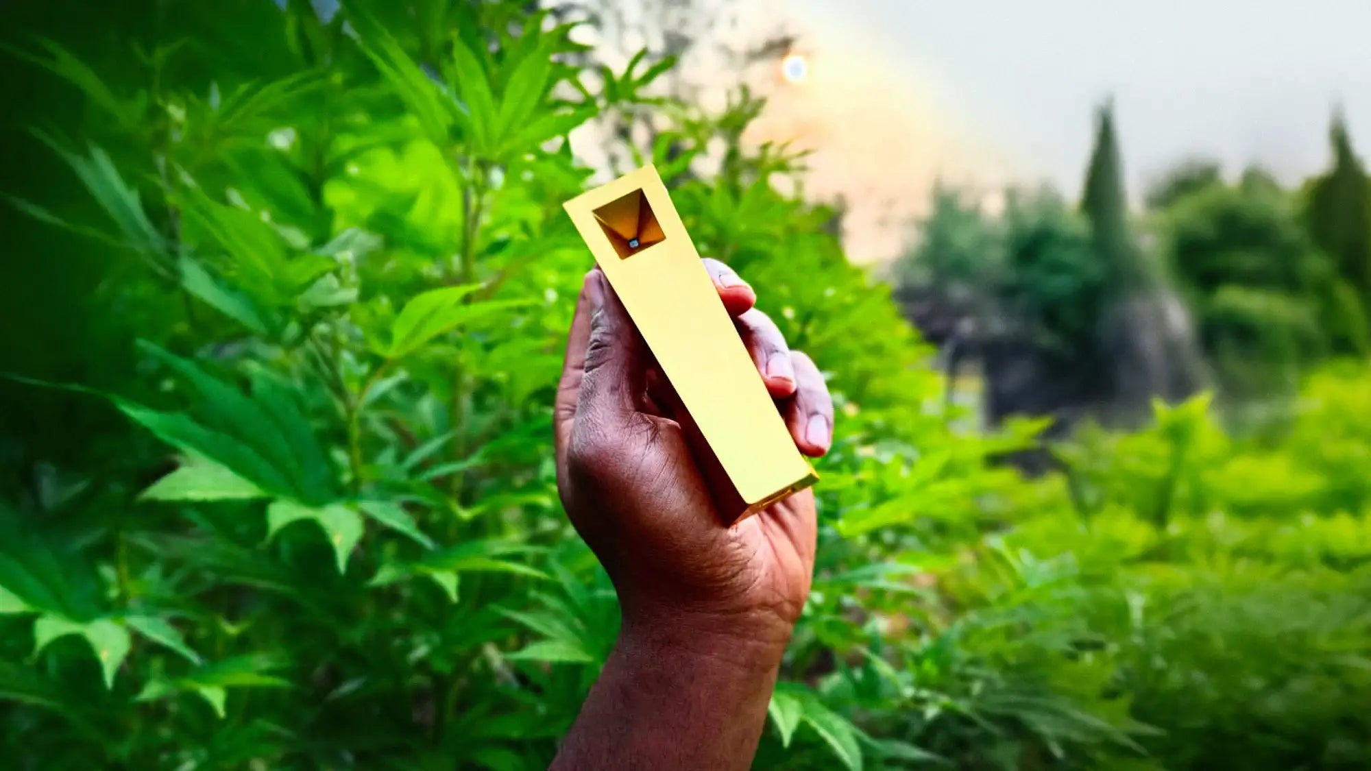 Hand holding a gold Tempest in a lush nature